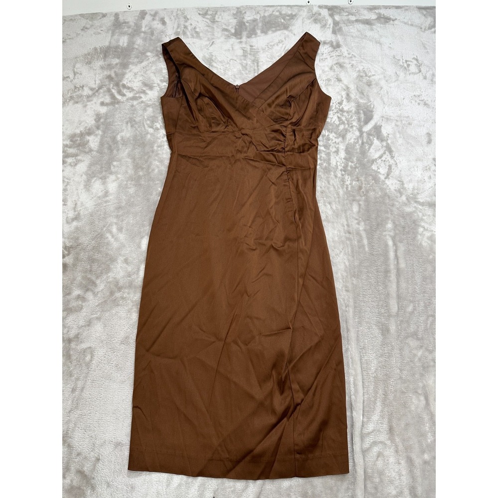 DONNA RICCO New York Dress Women's Size 4 Brown Sleeveless Lined Zipper Back EUC